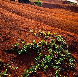 《生化危机4：重制版》iOS版新截图 看起来也挺美