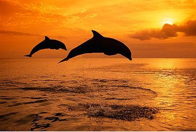 《刺客信条：英灵殿》1.2.2大型更新明日上线