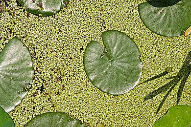 《影子武士3》IGN 7分 没有太多创新但战斗很爽快